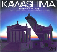 KAWASHIMA REPORT